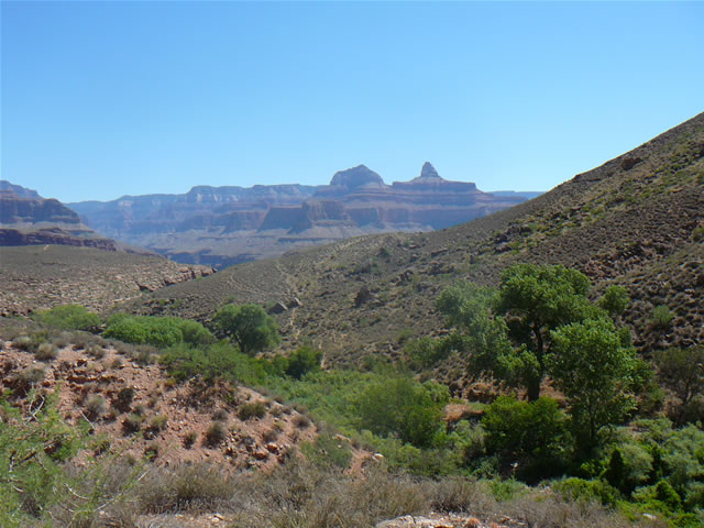 images/B- Mule Ride, riding down in to Grand Canyon (19).jpg